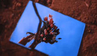 A glass mirror featuring a tulip bouquet is broken in half