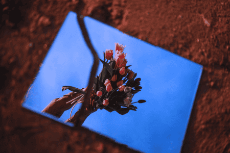 A glass mirror featuring a tulip bouquet is broken in half